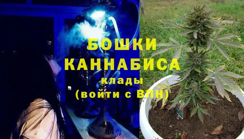 Бошки марихуана THC 21%  где продают   Дальнереченск 